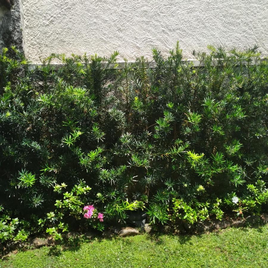 Suíte Caiçara Peruíbe Exterior foto